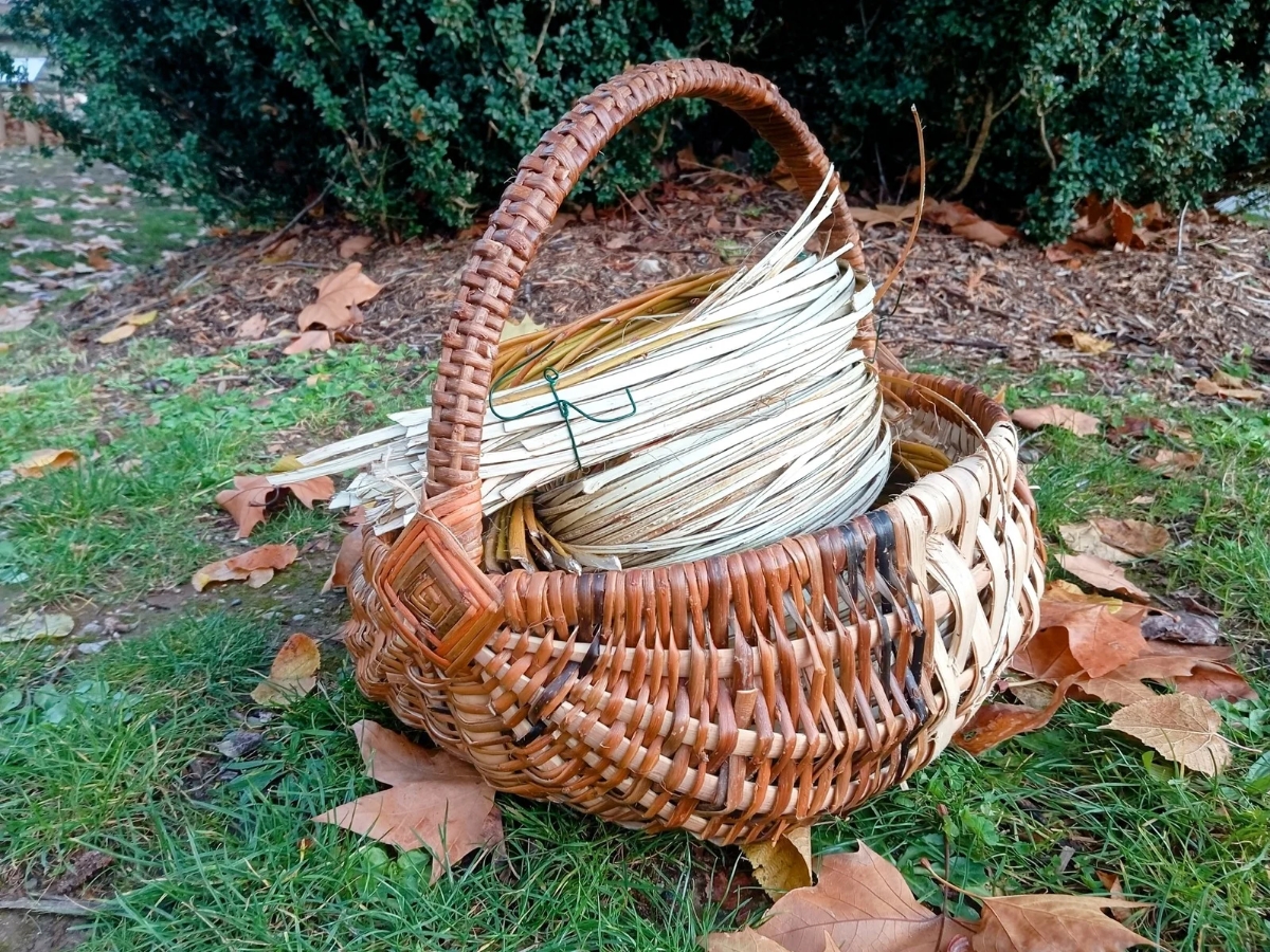 panier vannerie panier vannerie