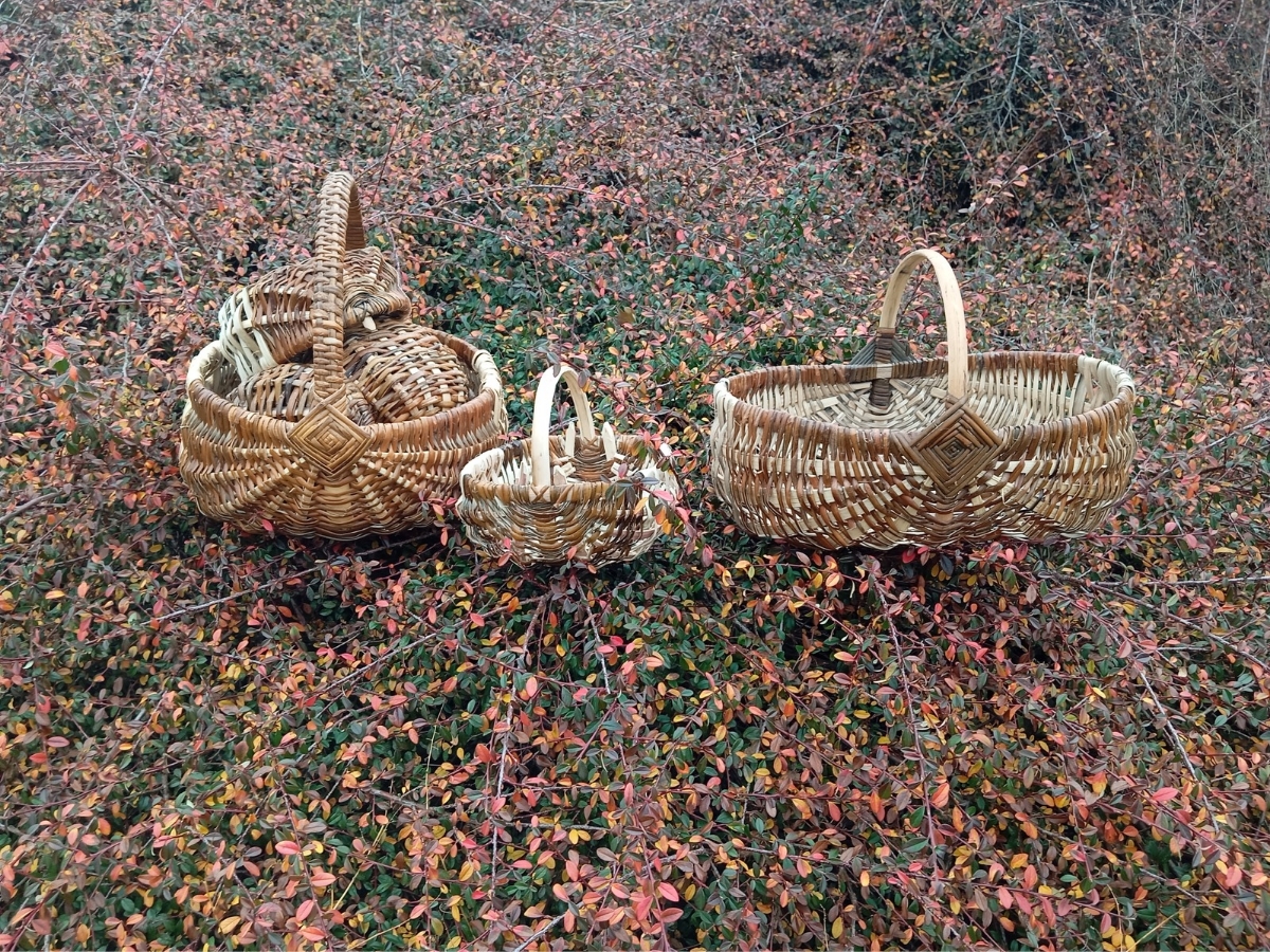 panier vannerie panier vannerie